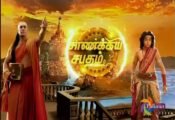 Chanakya Sapatham 11-03-2020 Polimer Tv Serial