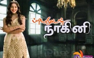 Priyamudan Naagini 21-06-2020 Polimer Tv Serial