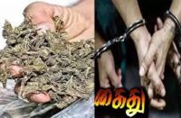 தூத்துக்குடியில் 3.8 கிலோ கஞ்சா பறிமுதல்: 3 பேர் கைது