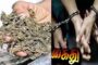 தூத்துக்குடியில் 3.8 கிலோ கஞ்சா பறிமுதல்: 3 பேர் கைது