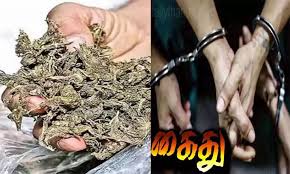 தூத்துக்குடியில் 3.8 கிலோ கஞ்சா பறிமுதல்: 3 பேர் கைது